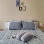 By The Cathedral - Center - 2 Bedroom Flat